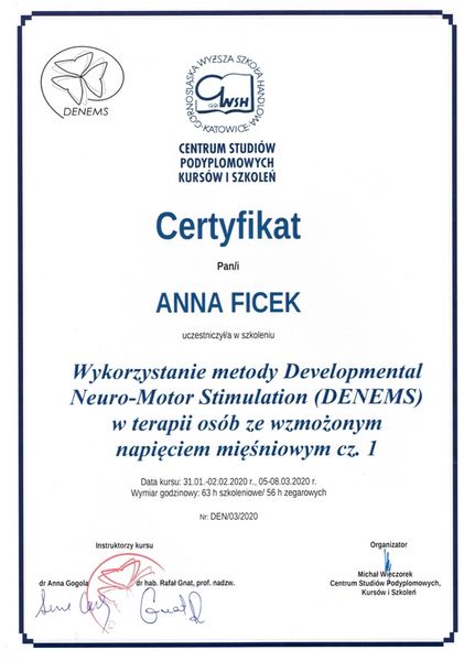 Powiększ obraz: certificate 6