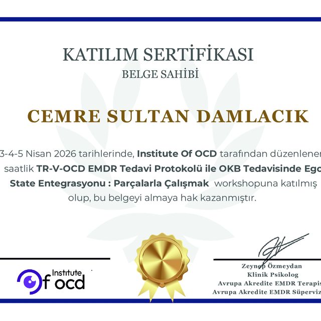 Resmi büyüt: certificate 4