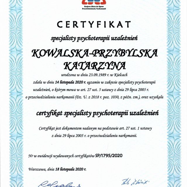 Powiększ obraz: certificate 1