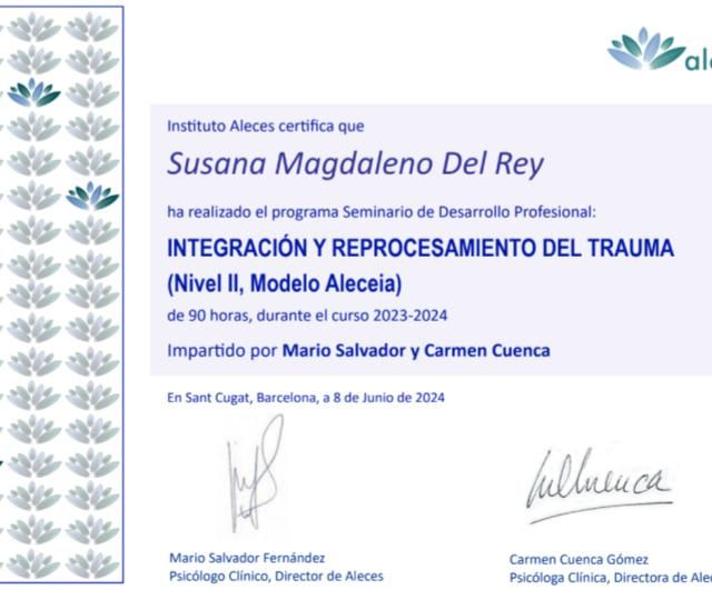 Acercar imagen: certificate 6