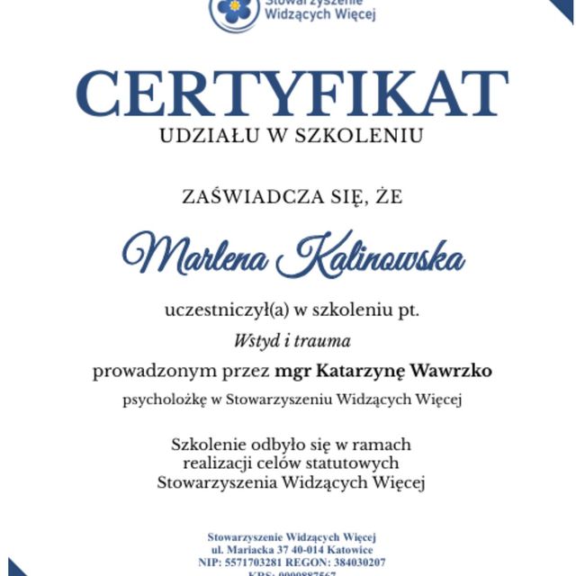 Powiększ obraz: certificate 2