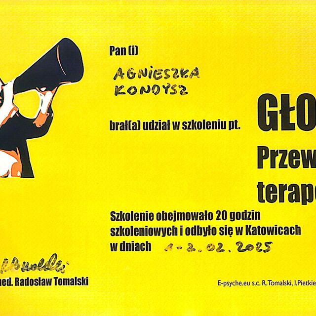 Powiększ obraz: certificate 2
