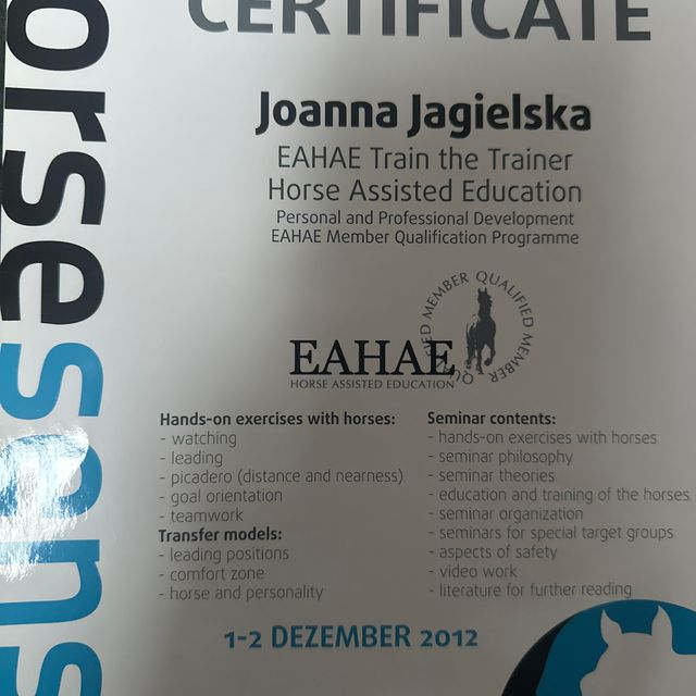 Powiększ obraz: certificate 3