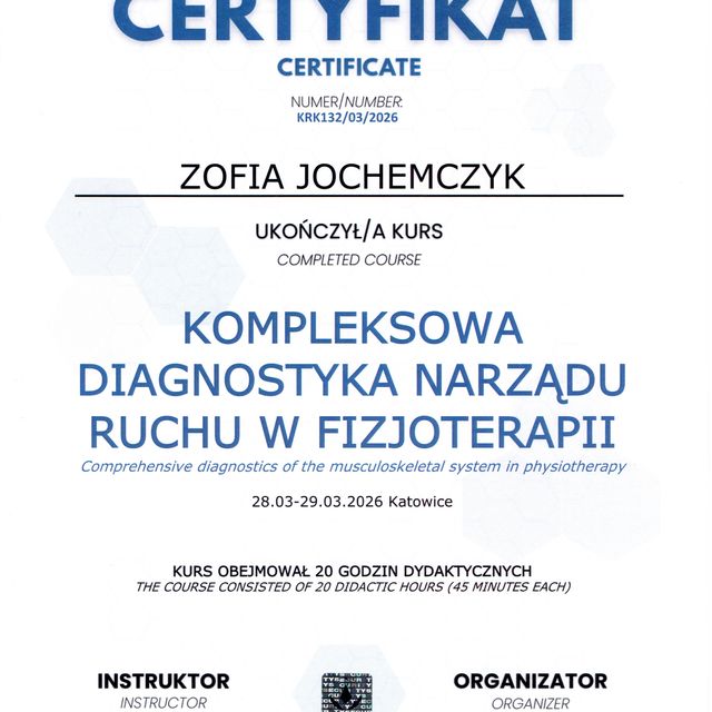 Powiększ obraz: certificate 2