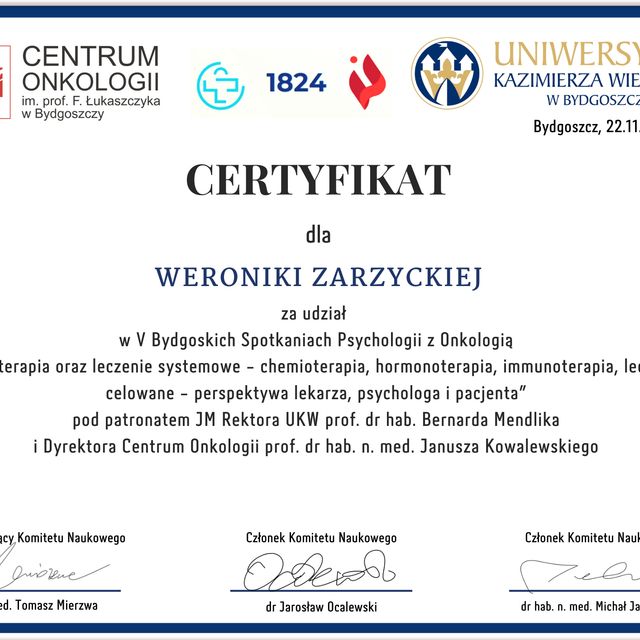 Powiększ obraz: certificate 1
