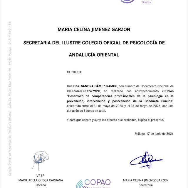 Acercar imagen: certificate 18