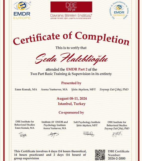 Resmi büyüt: certificate 1