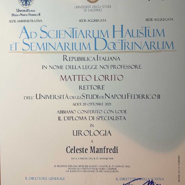 Ingrandire l'immagine: certificate 1