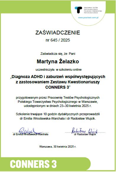 Powiększ obraz: certificate 1