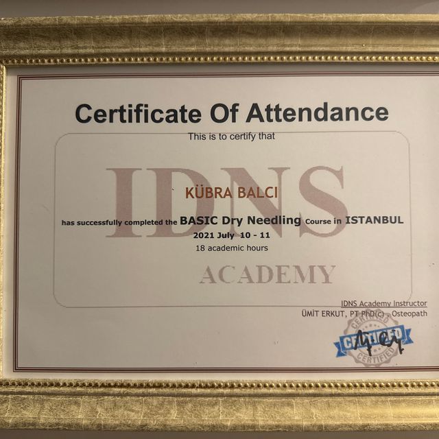 Resmi büyüt: certificate 5