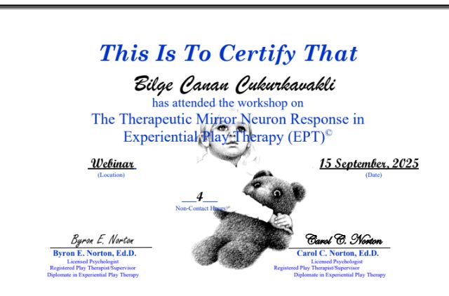 Resmi büyüt: certificate 8