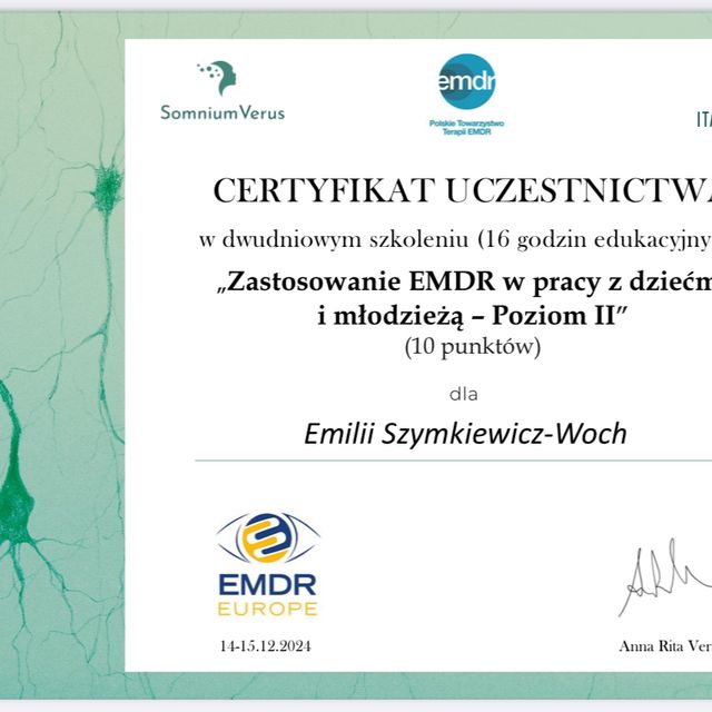 Powiększ obraz: certificate 4