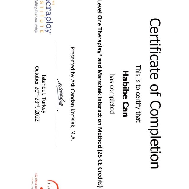 Resmi büyüt: certificate 1