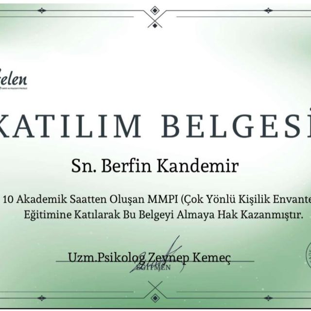 Resmi büyüt: certificate 24