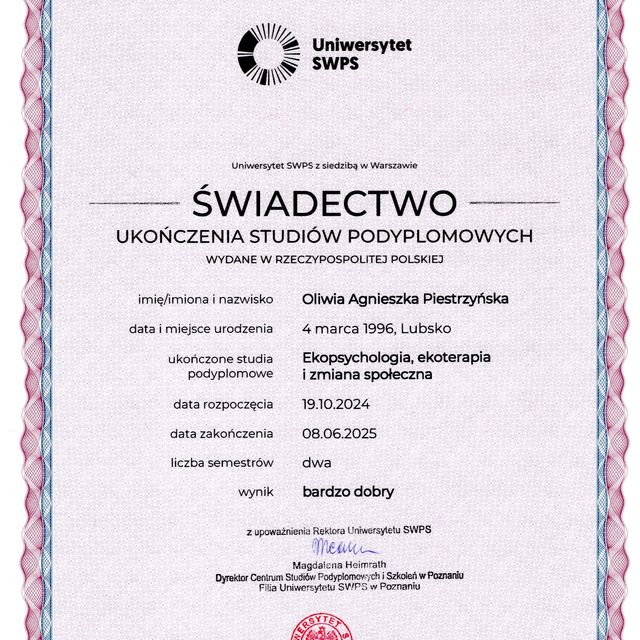 Powiększ obraz: certificate 1