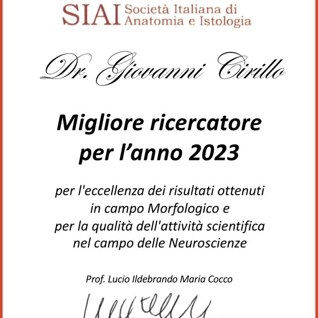 Ingrandire l'immagine: certificate 6
