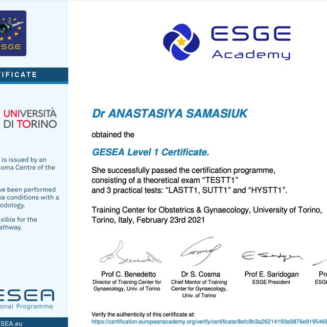 Ingrandire l'immagine: certificate 7