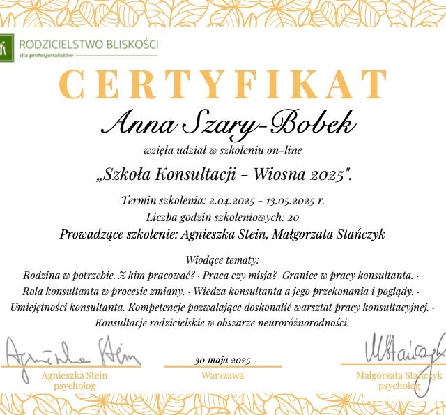 Powiększ obraz: certificate 4