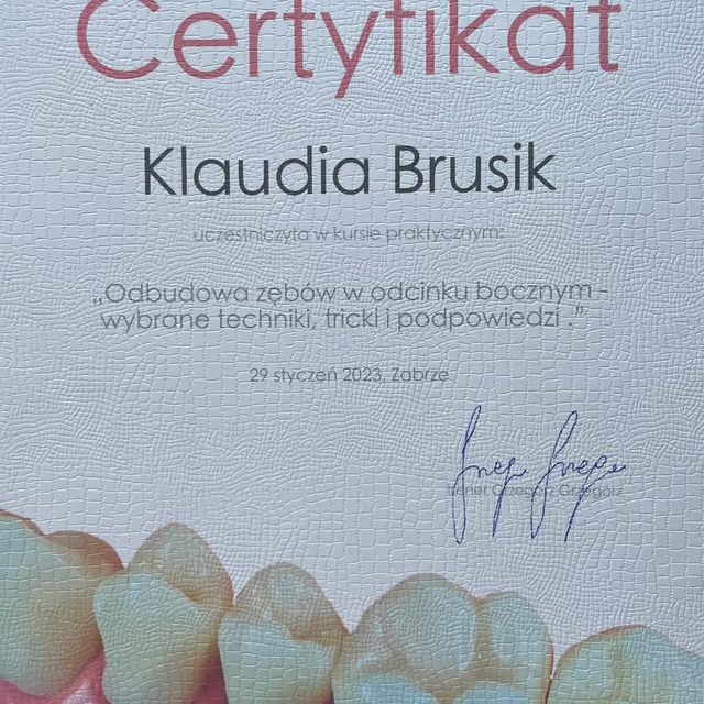 Powiększ obraz: certificate 1