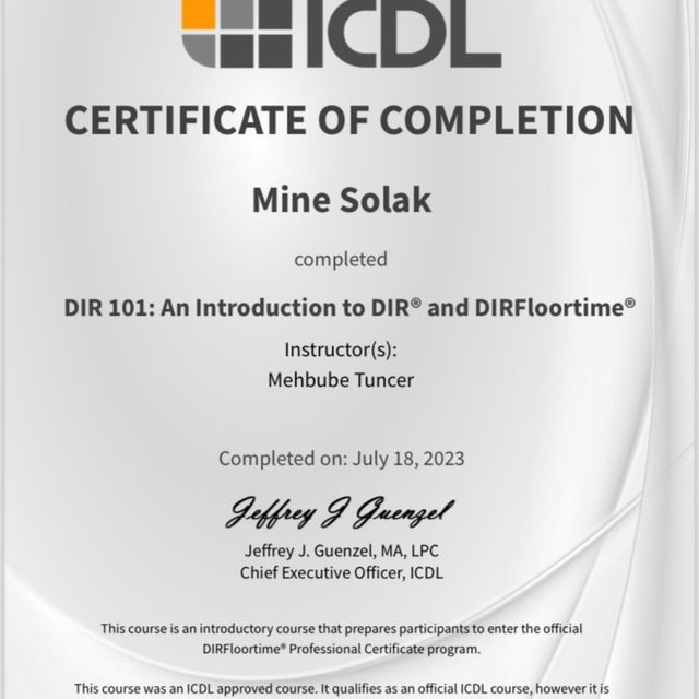 Resmi büyüt: certificate 17