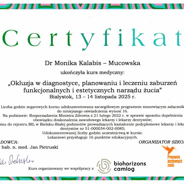 Powiększ obraz: certificate 1