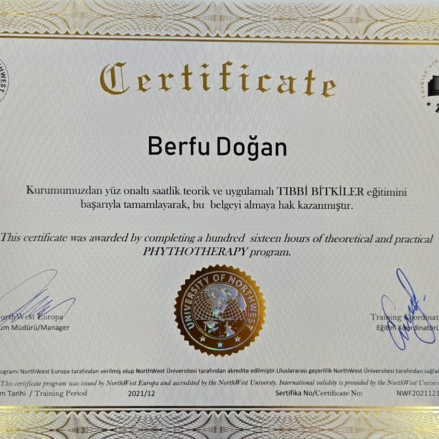Resmi büyüt: certificate 2