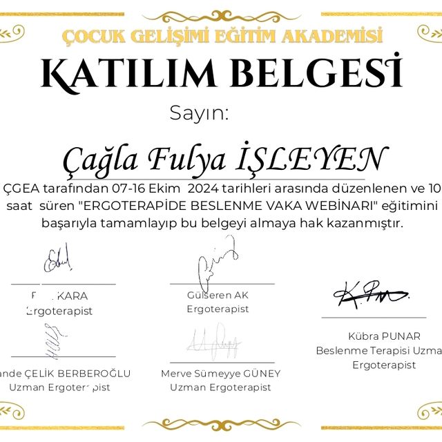 Resmi büyüt: certificate 3