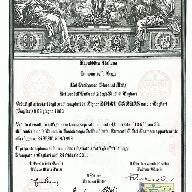 Ingrandire l'immagine: certificate 8