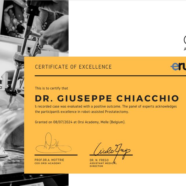 Ingrandire l'immagine: certificate 2