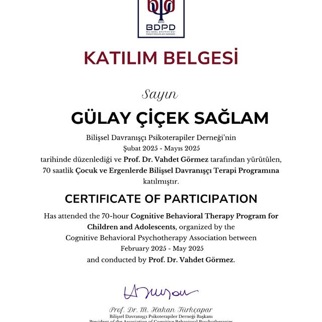 Resmi büyüt: certificate 5