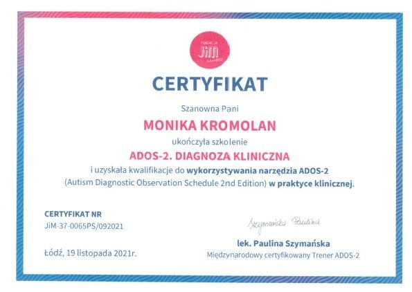 Powiększ obraz: certificate 1