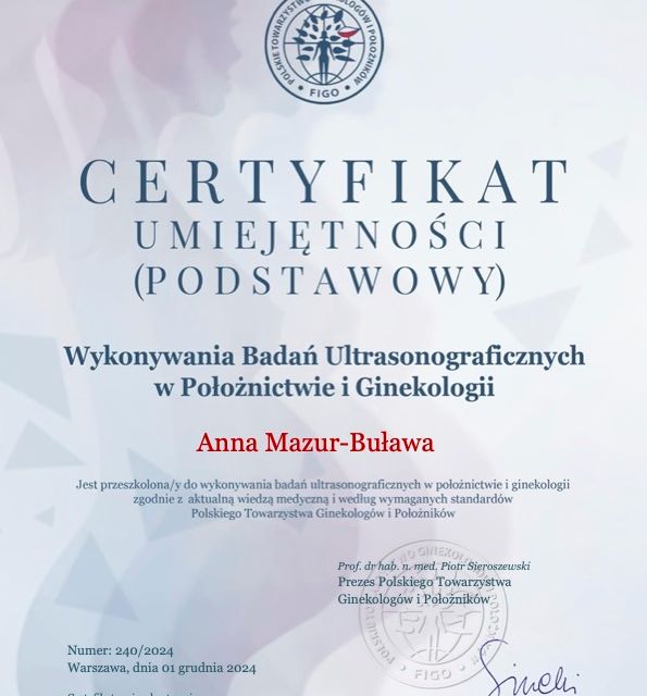 Powiększ obraz: certificate 2