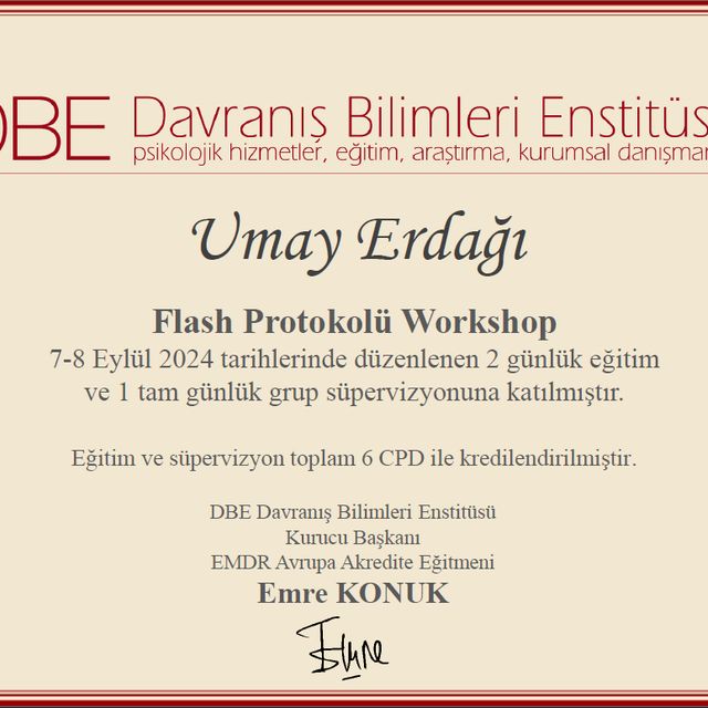 Resmi büyüt: certificate 5