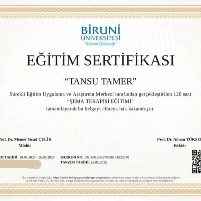 Resmi büyüt: certificate 9