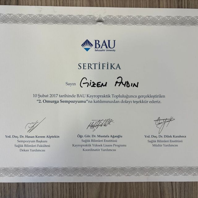 Resmi büyüt: certificate 1