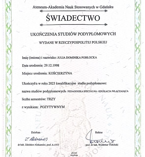 Powiększ obraz: certificate 4