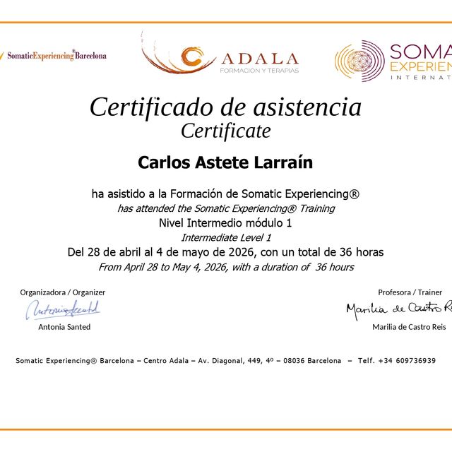 Acercar imagen: certificate 3