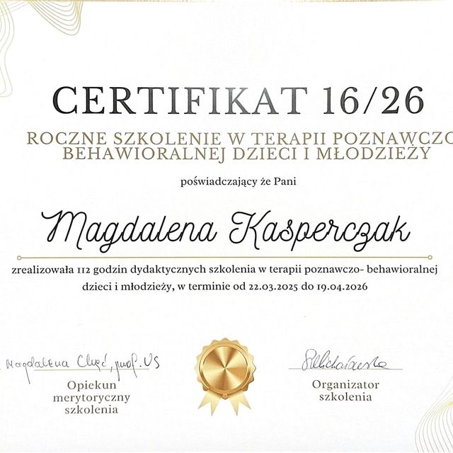 Powiększ obraz: certificate 1