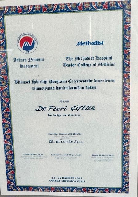 Resmi büyüt: certificate 7