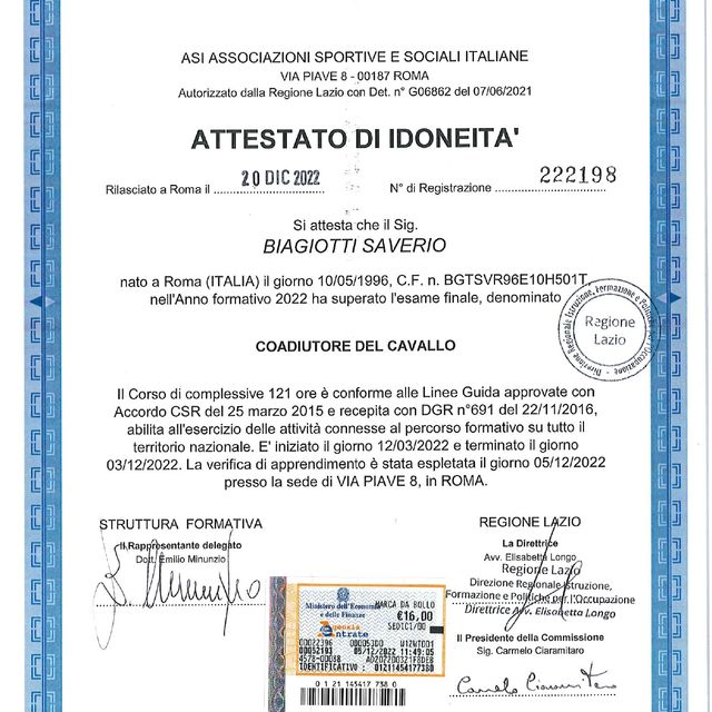 Ingrandire l'immagine: certificate 4