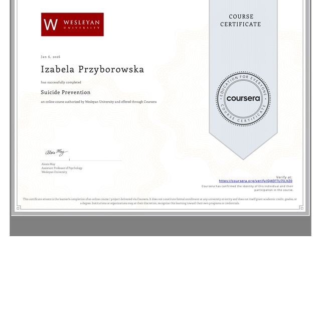 Powiększ obraz: certificate 11