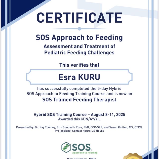 Resmi büyüt: certificate 3