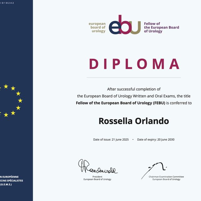 Ingrandire l'immagine: certificate 1