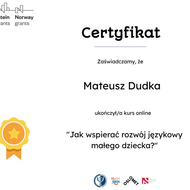 Powiększ obraz: certificate 4