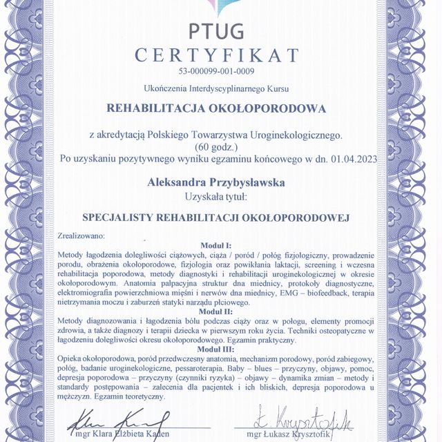 Powiększ obraz: certificate 1