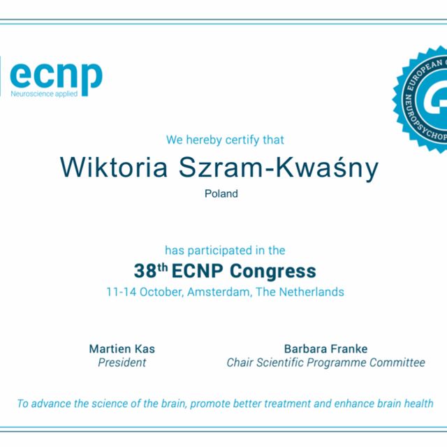 Powiększ obraz: certificate 2