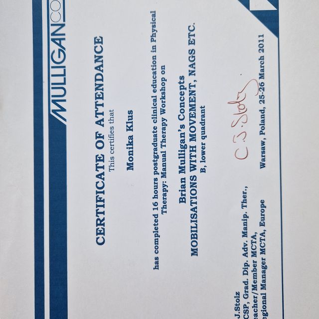 Powiększ obraz: certificate 13