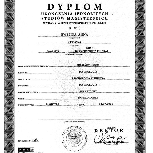 Powiększ obraz: certificate 3