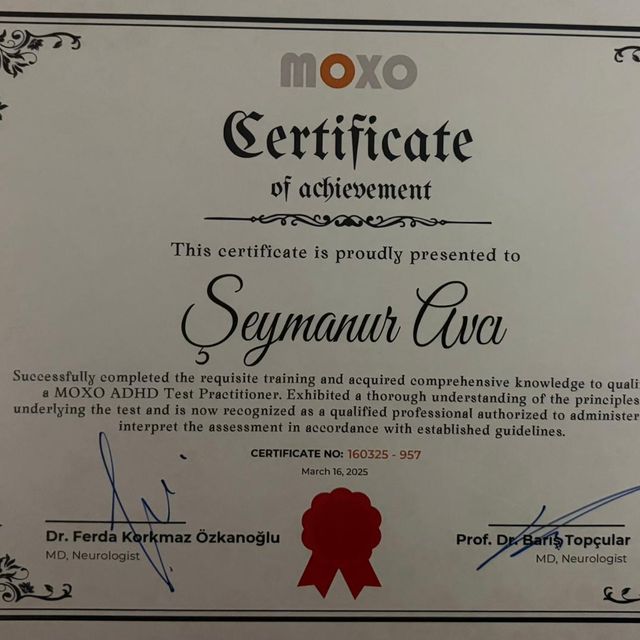 Resmi büyüt: certificate 1