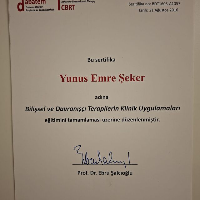 Resmi büyüt: certificate 2